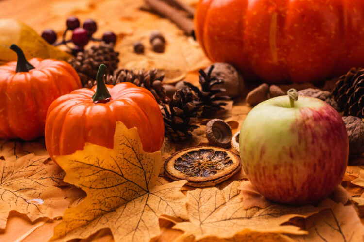Happy Thanksgiving 2025